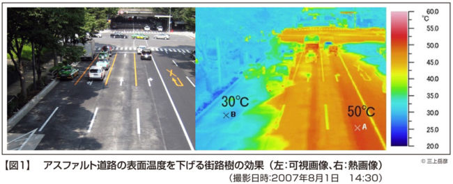 地表面の温度